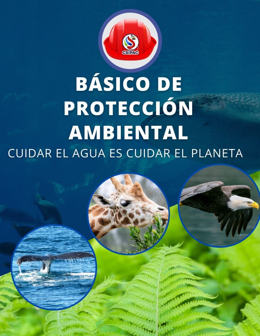 Basico_Proteccion_Ambiental