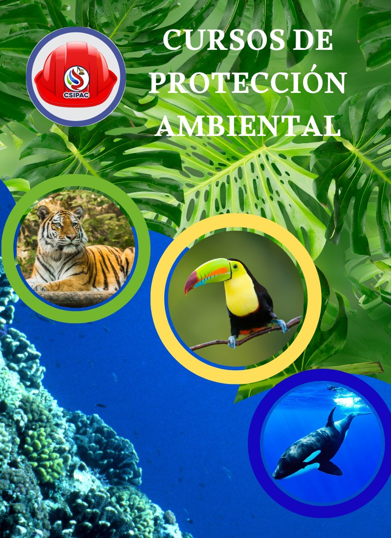 Vertical_CursosProteccion_2